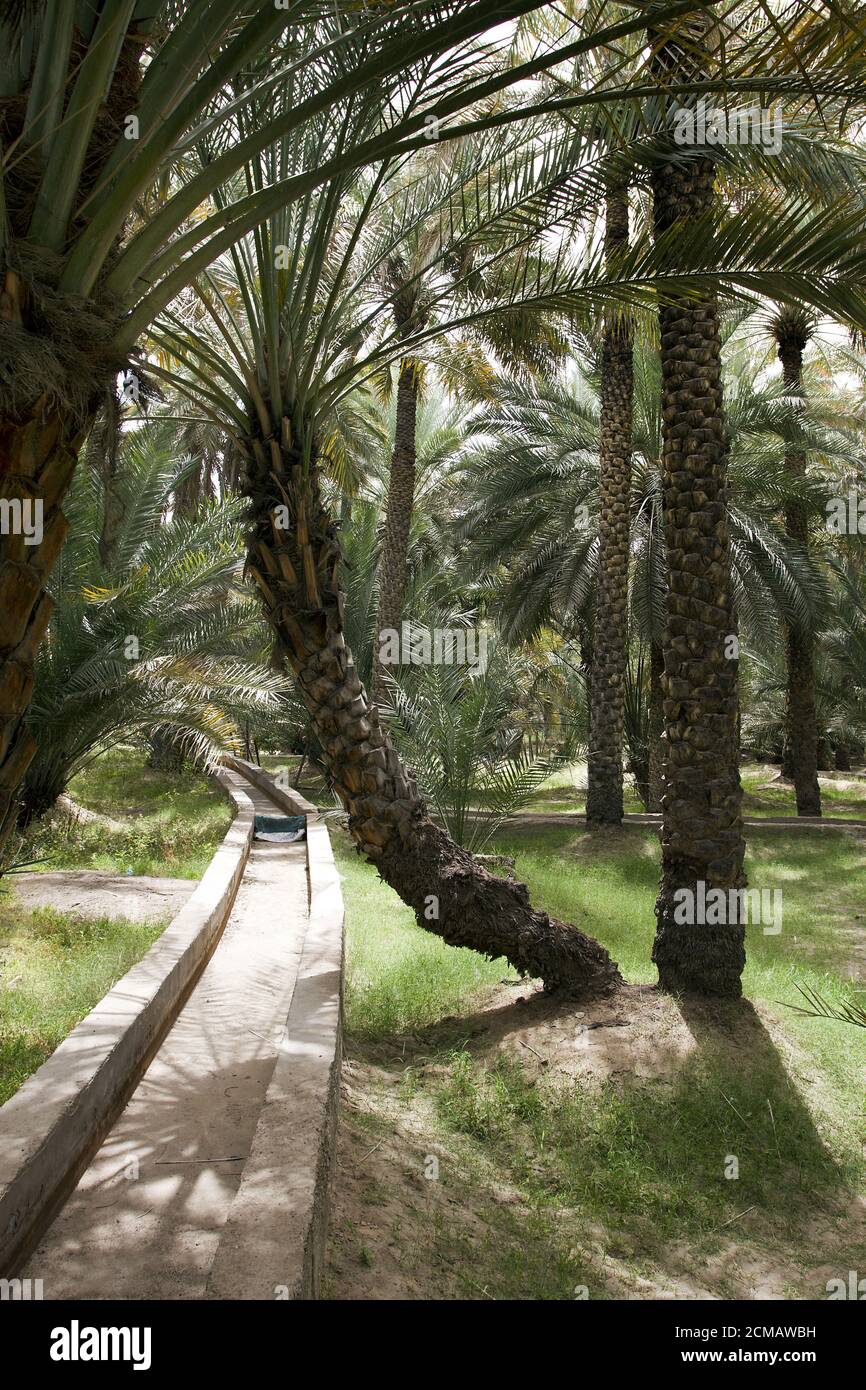 Al Ain/Abu Dhabi Stockfoto