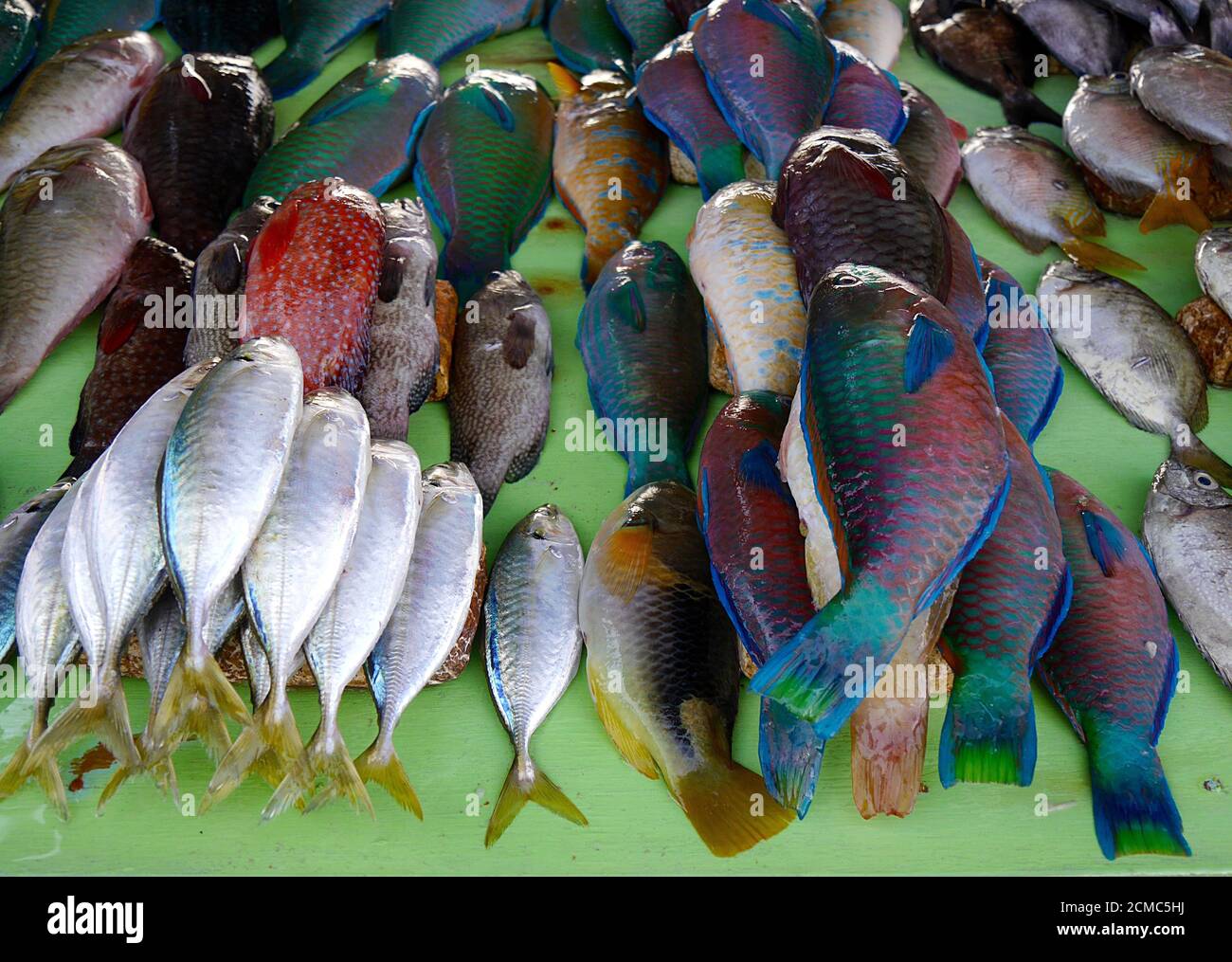 Nahaufnahme von bunten Fischen am Marktstand, Kupang, Indonesien Stockfoto