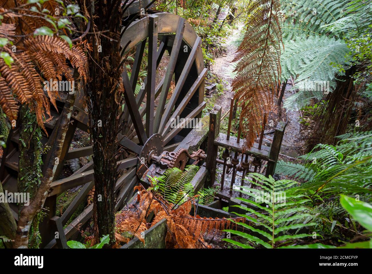 Hölzerne Wasserrad im Wald bei Mitchells Gully Gold Mine, Charleston, in der Nähe von Westport, Buller, South Island, Neuseeland Stockfoto