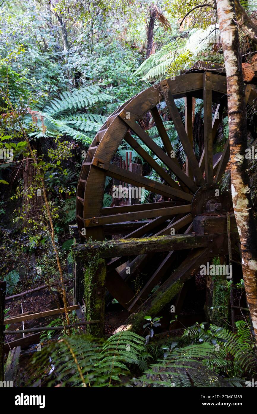 Hölzerne Wasserrad im Wald bei Mitchells Gully Gold Mine, Charleston, in der Nähe von Westport, Buller, South Island, Neuseeland Stockfoto