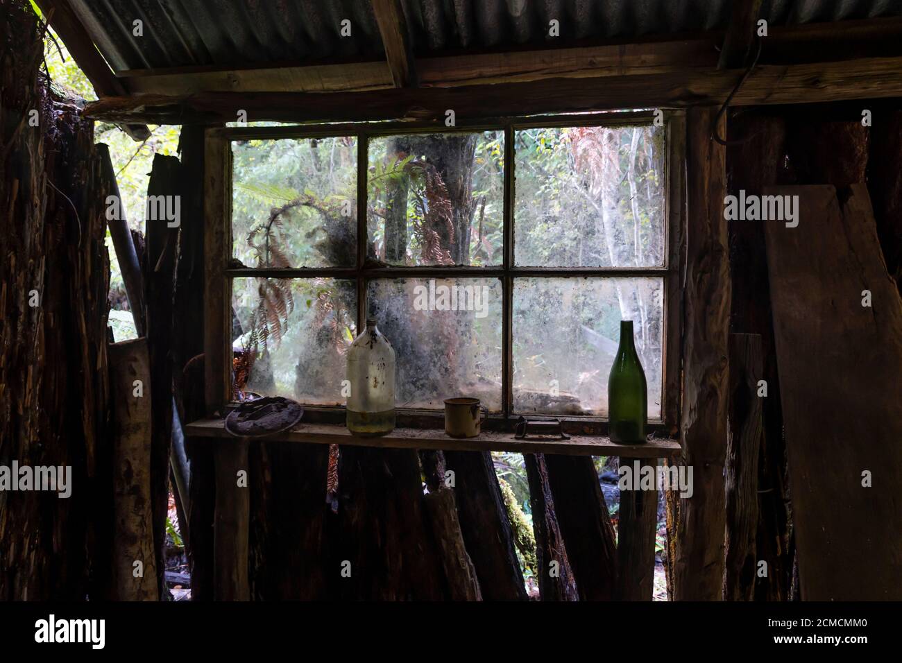 Fenster in Waldhütte, Mitchells Gully Gold Mine, Charleston, in der Nähe von Westport, Buller, South Island, Neuseeland Stockfoto