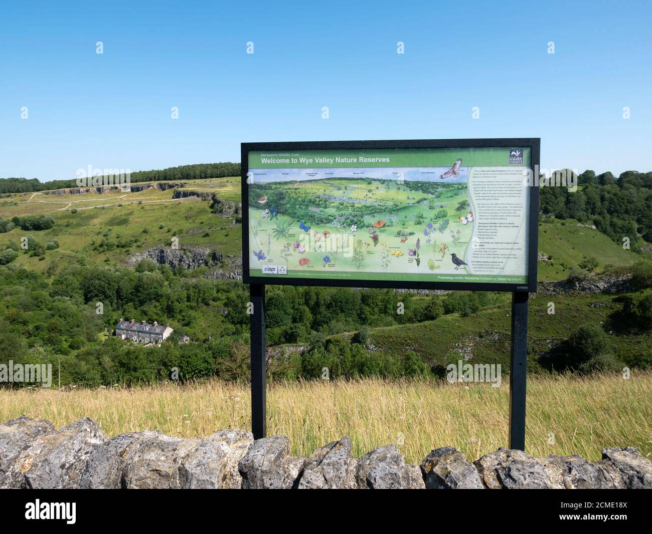 Wye Valley Nature Reserves, Chee Dale, Upper Wye Valley, Derbyshire, England, Großbritannien. Stockfoto