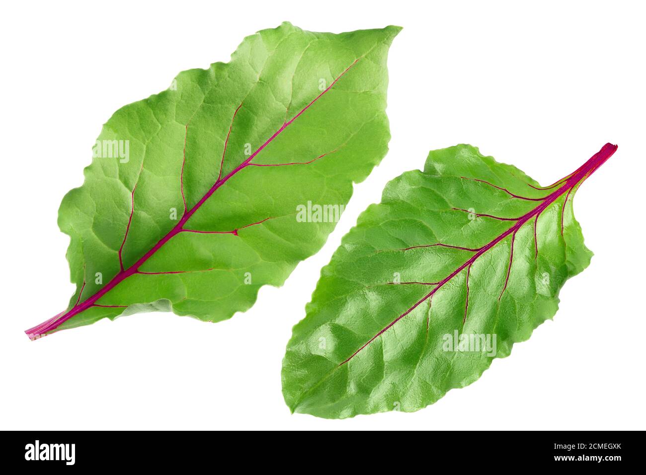 Rote Bete, isoliert auf weißem Hintergrund mit Beschneidungspfad und voller Schärfentiefe. Draufsicht. Flach liegend Stockfoto