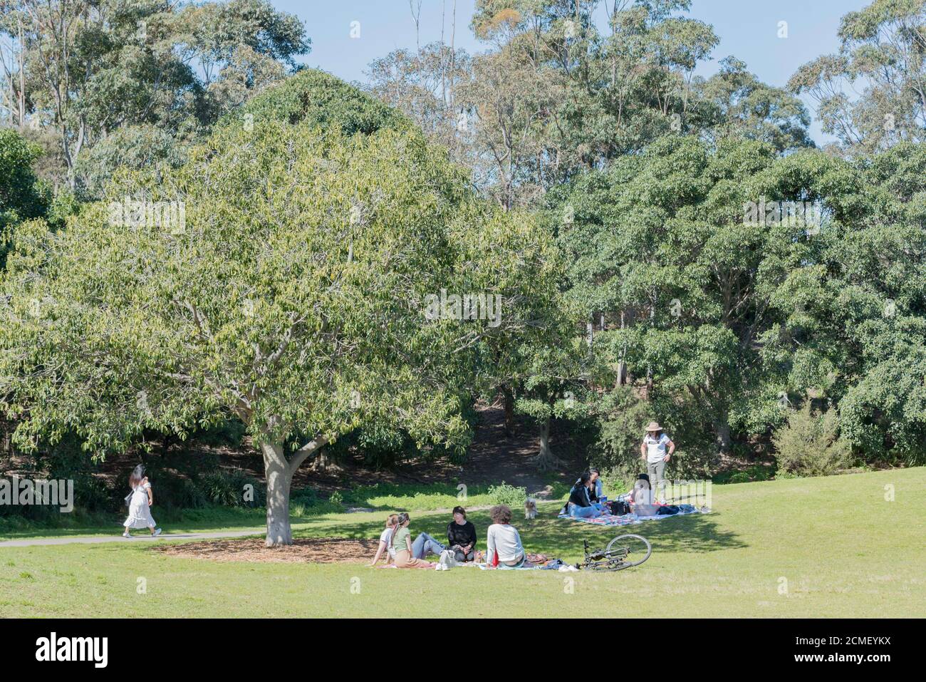 Die Menschen ruhen im Schatten eines großen Baumes und gehen auf den Pfaden im inneren Westen, Sydney Park in Alexandria, Sydney, Australien Stockfoto