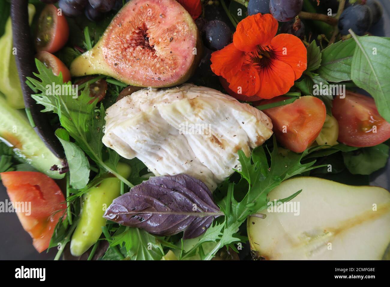 Herbstsalat im Garten Stockfoto