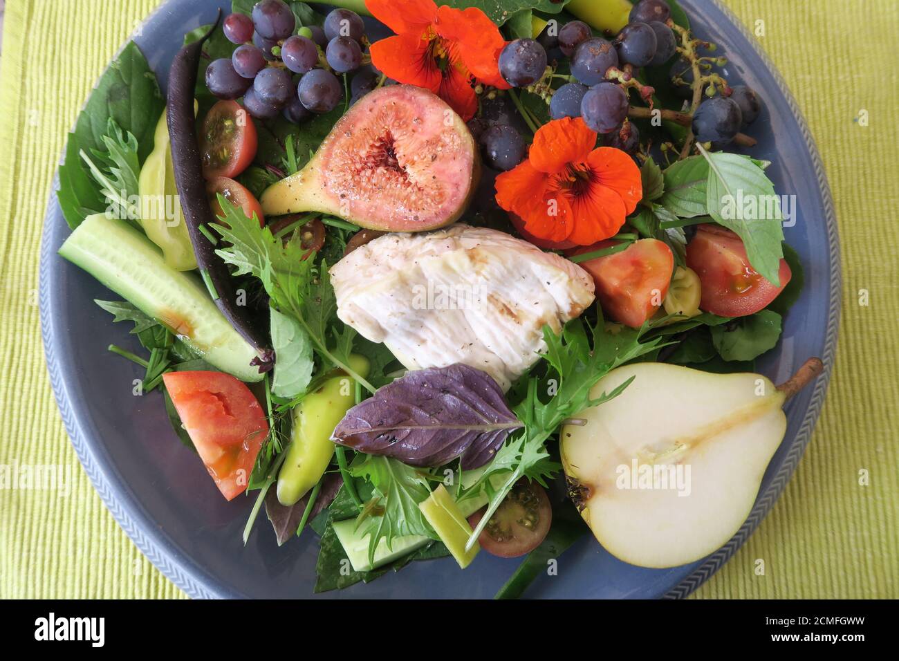 Herbstsalat im Garten Stockfoto