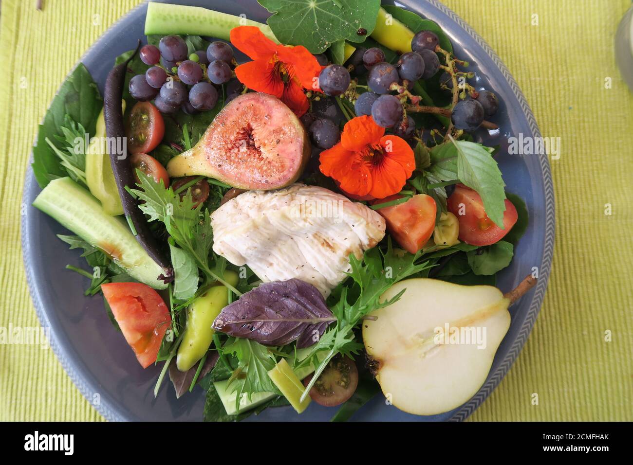Herbstsalat im Garten Stockfoto