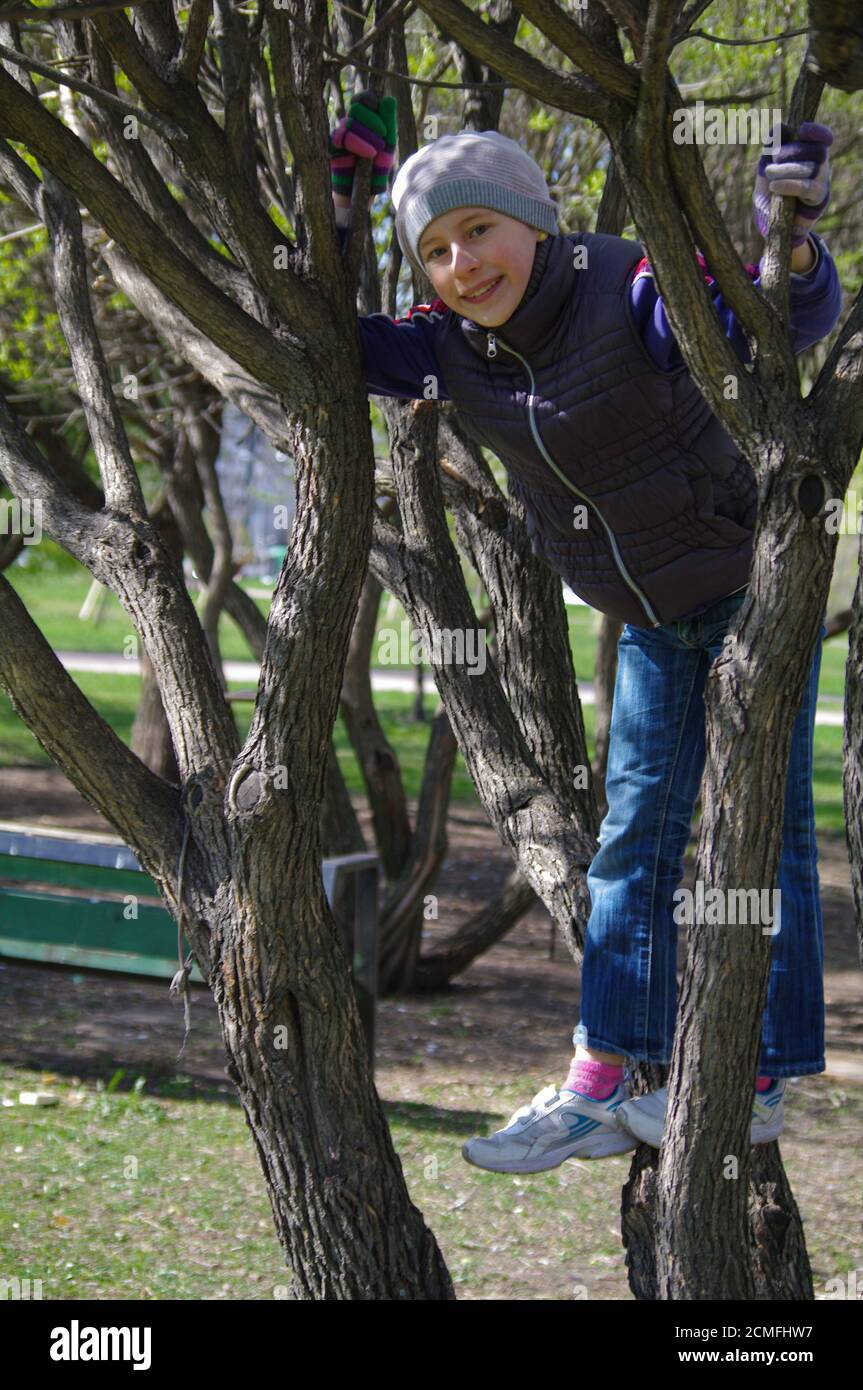 Lustige verspielte Mädchen Klettern auf einen Baum im Park. Kinder im Freien. Urlaub im Sommer Stockfoto