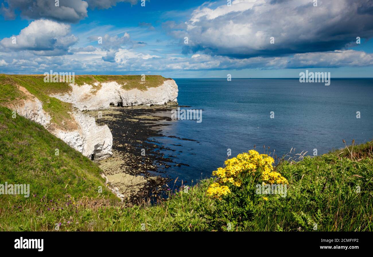 Flamborough Head Heritage Coastline. Yorkshire, England, Großbritannien Stockfoto