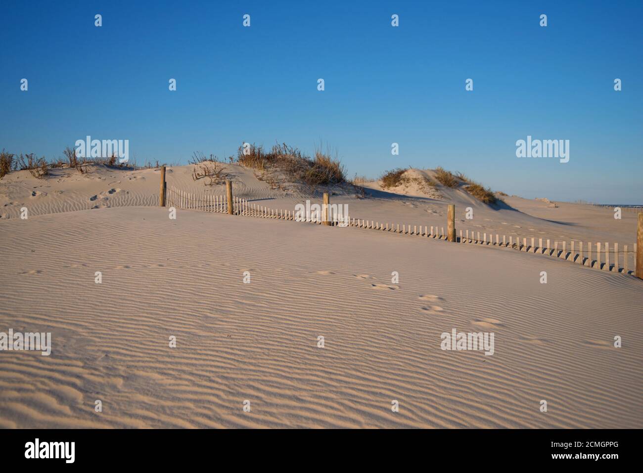 Sanddünen auf Assateague Island mit Holzzaun, Seegras und wolkenlosem Himmel. Stockfoto