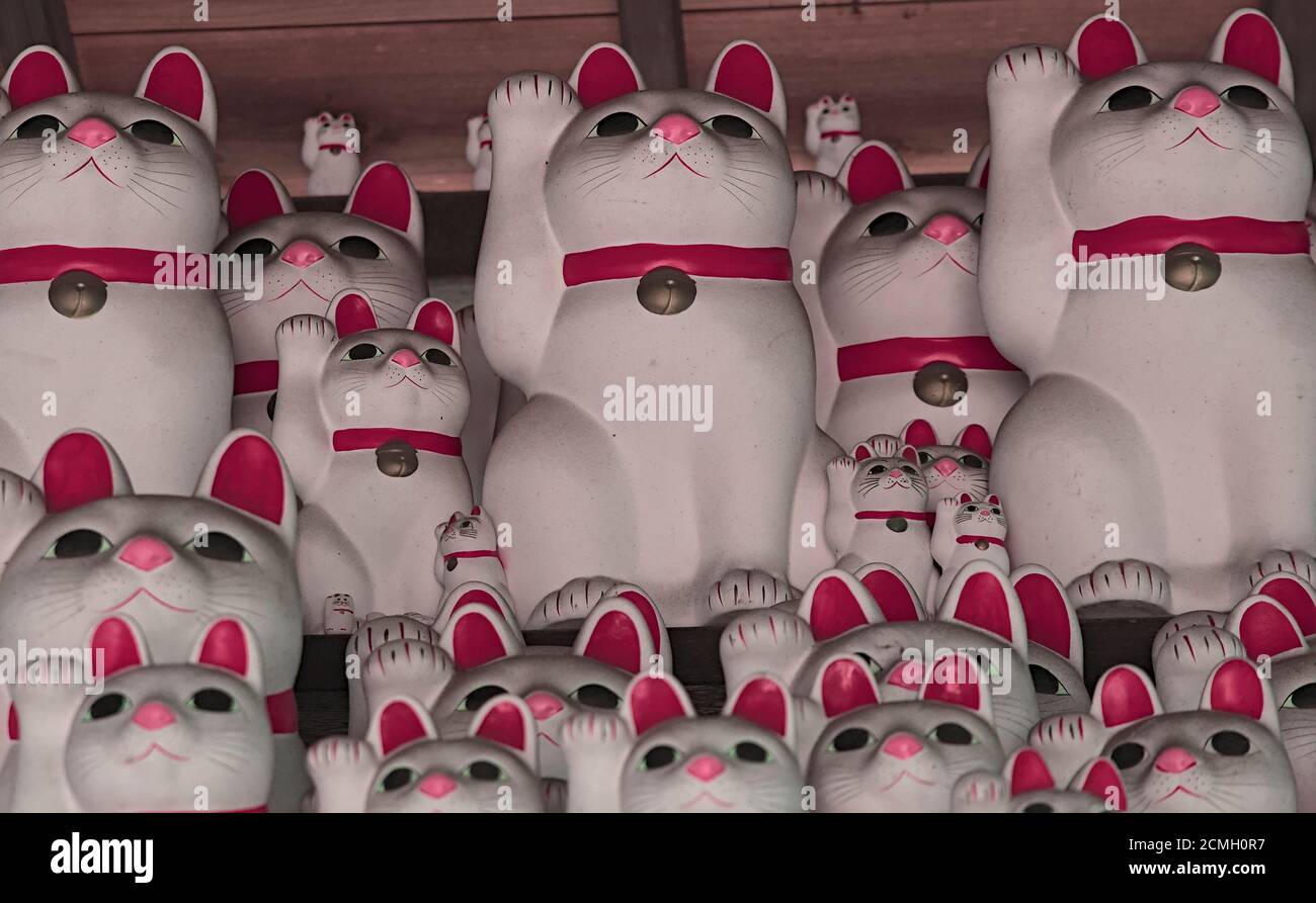 Niedriger Winkel schattierte Ansicht von vielen japanischen Maneki-Neko 'winkende Katze' Figuren, am Gotokuji Tempel in Tokyo Stockfoto