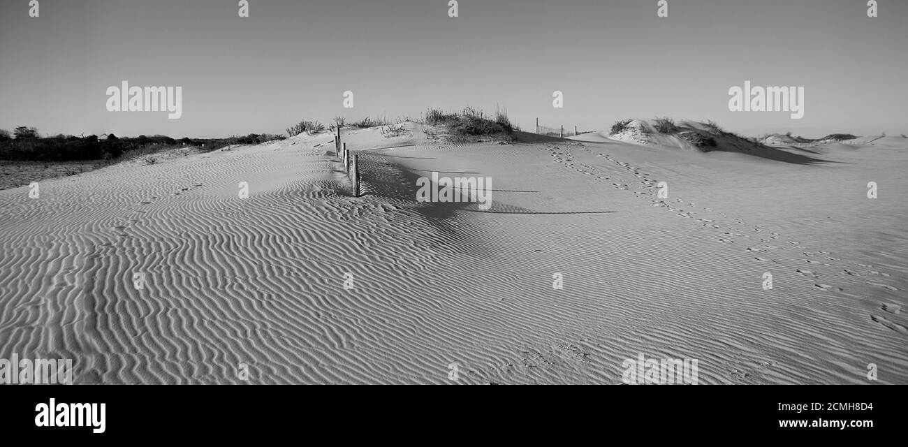 Schwarz-Weiß-Ansicht von kleinen Sanddünen Stockfoto