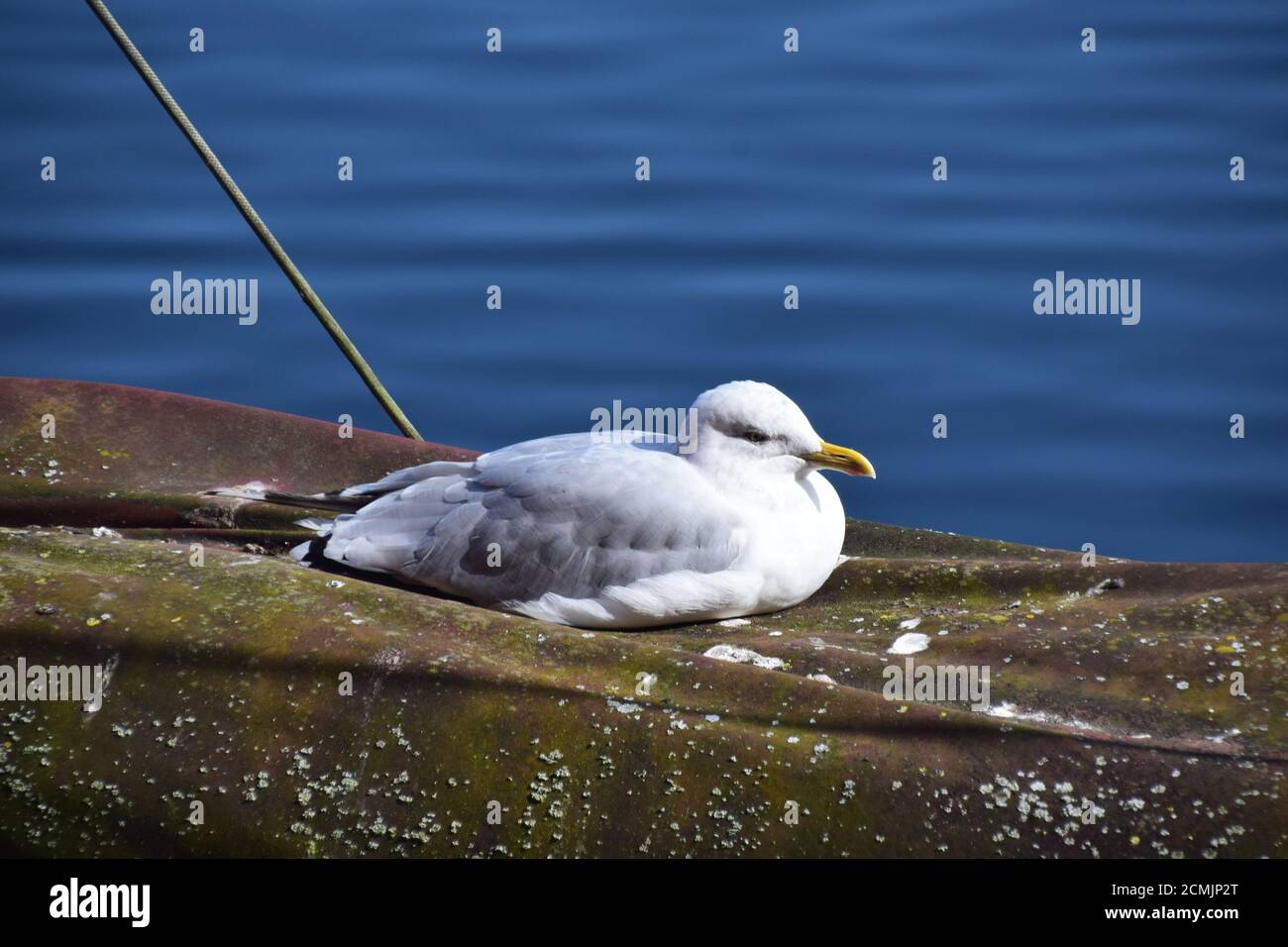 Liverpool City Waterfront und Albert Dock Gegend Stockfoto