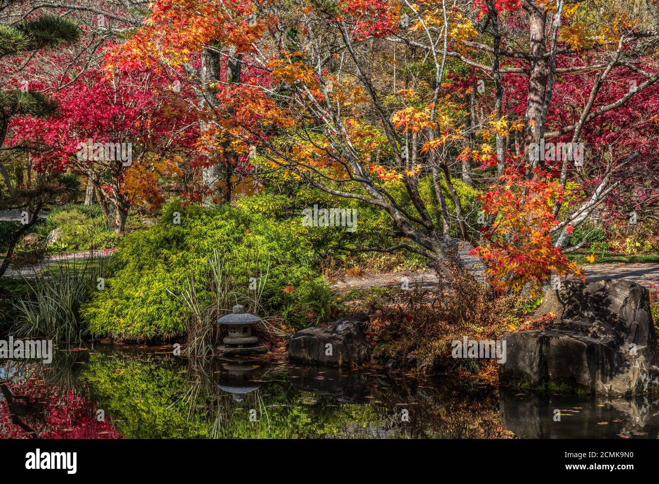 Eine perfekte Szene eines japanischen Gartens mit lebendigen Farben Im Teich mit einer Zementlaterne reflektiert Ein Felsen entlang der Wanderwege, die Th Winde Stockfoto