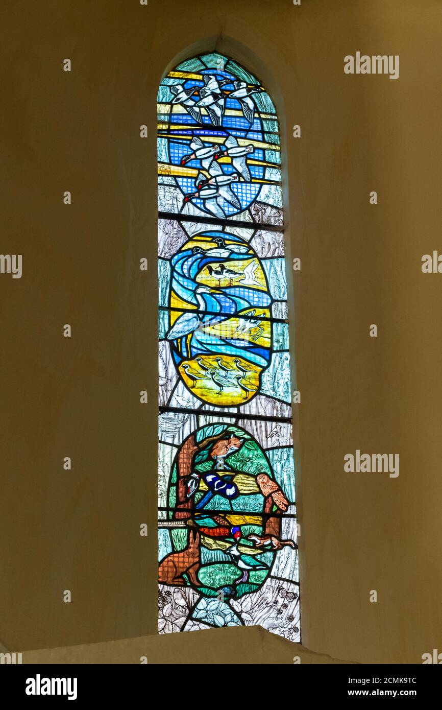 Modernes Buntglasfenster in der St. Wilfrid's Church, das Wildtiere aus einem lokalen Naturschutzgebiet, Church Norton, West Sussex, Großbritannien, zeigt Stockfoto