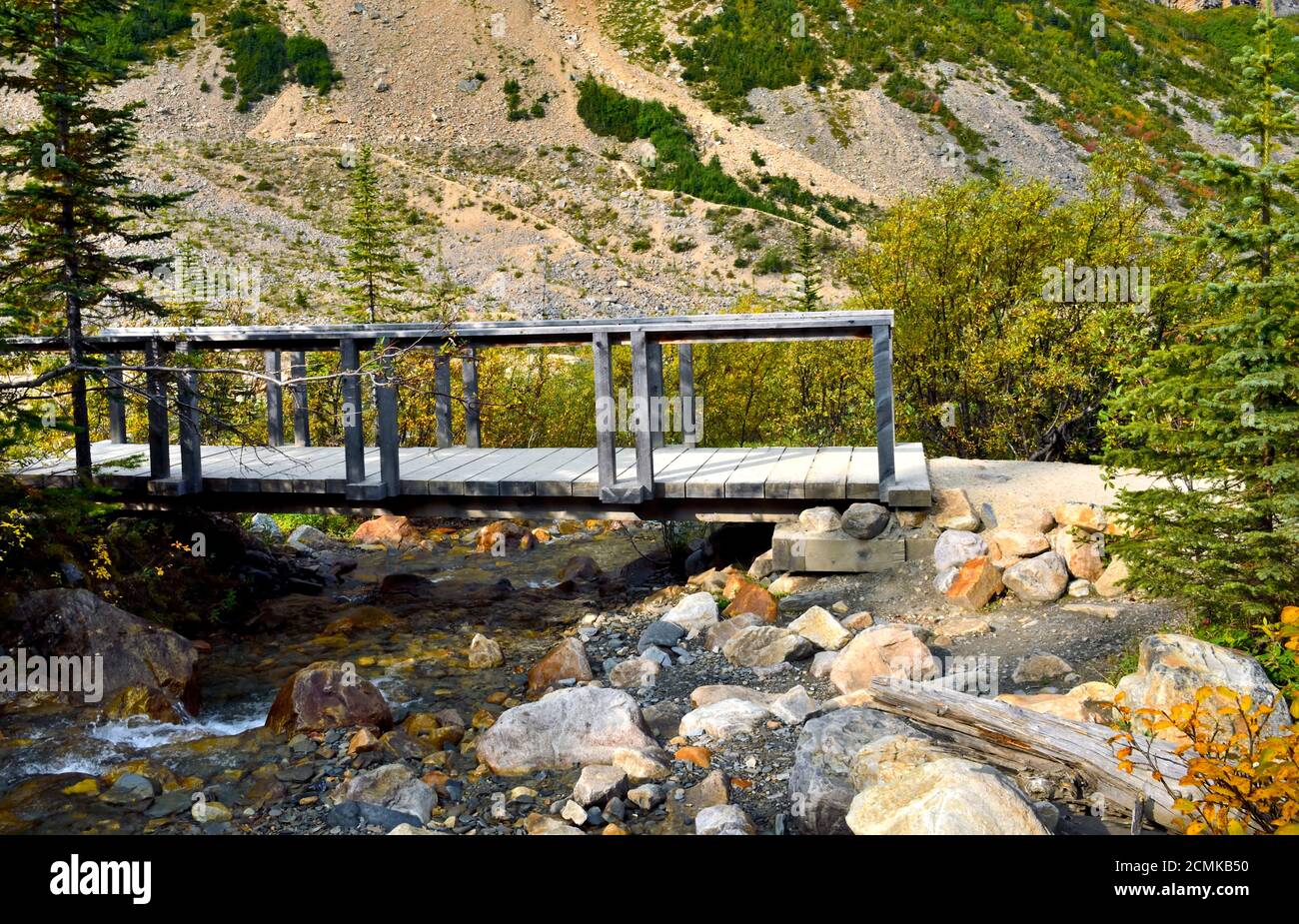 Seitenansicht einer Holzbrücke über einen Bach auf einem Wanderweg im Jasper National Park Alberta Canada. Stockfoto