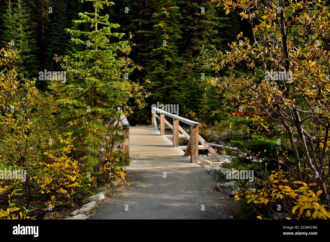 Eine Holzbrücke über einen kleinen Bach auf einem Wanderweg im Jasper National Park Alberta Canada. Stockfoto