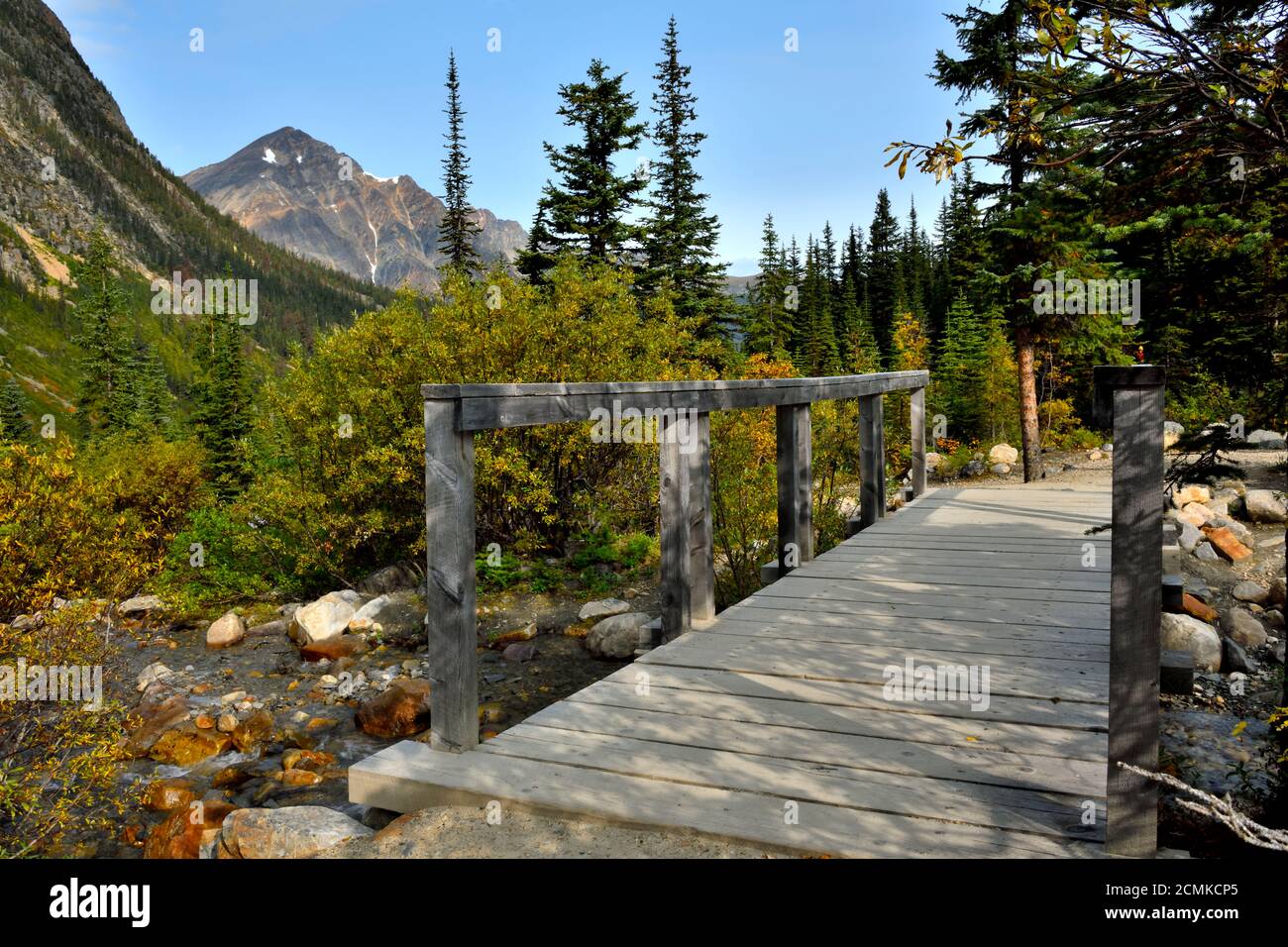 Eine Holzbrücke über einen kleinen Bach auf einem Wanderweg am Angel Glacier am Mount Edith Cavell im Jasper National Park Alberta Canada. Stockfoto