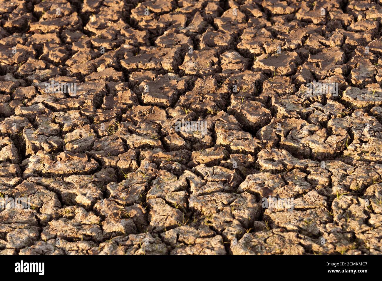 Rissige und trockene Erde in der Wüste. Globale Erwärmung und Wasserknappheit auf dem Planeten. Trockenheit, gebrochener Boden. Natürliche Textur des Bodens mit Rissen Stockfoto