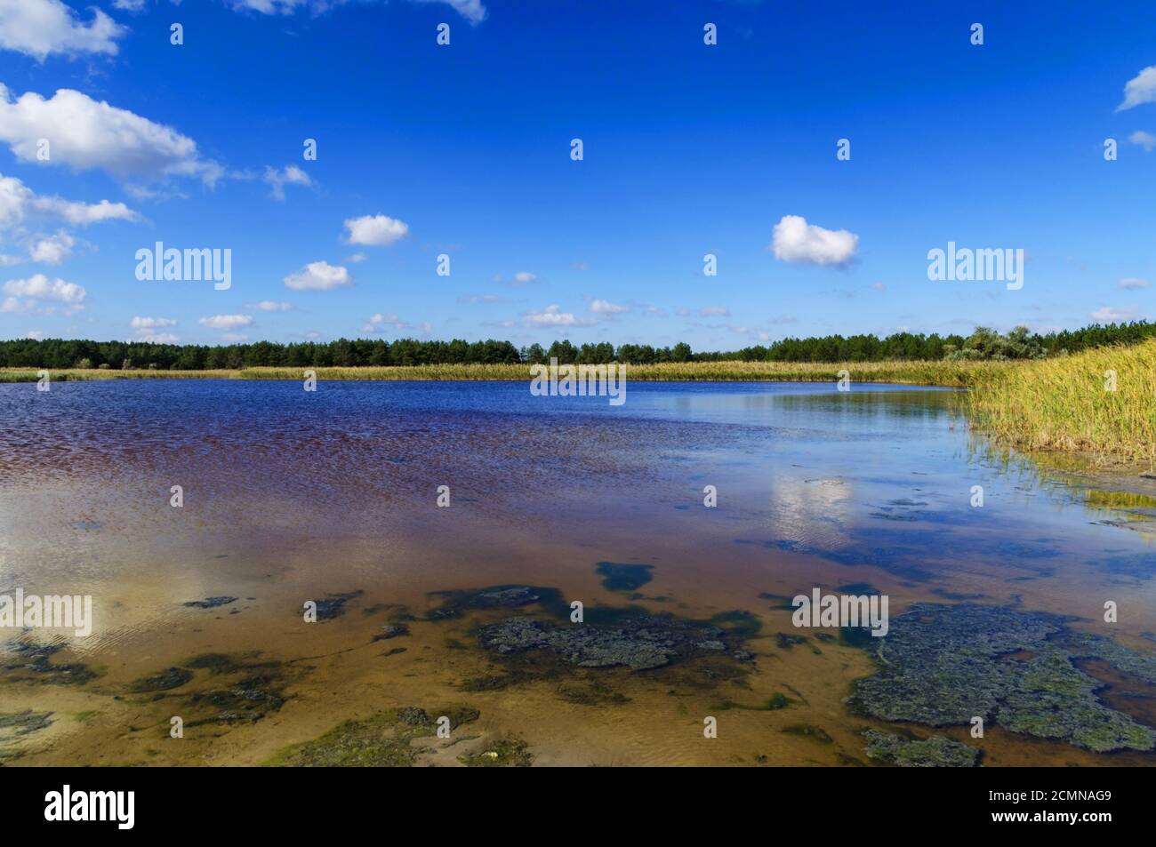 Blick auf den See mit Mineralien und Jod in der Region von Kherson, Ukraine Stockfoto
