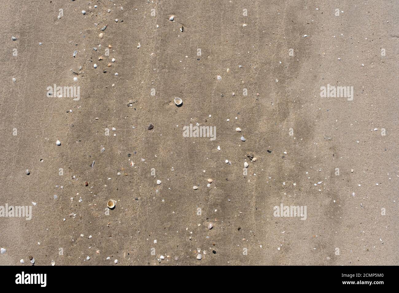 Sand Textur. Sandstrand für Hintergrund. Ansicht von oben Stockfoto