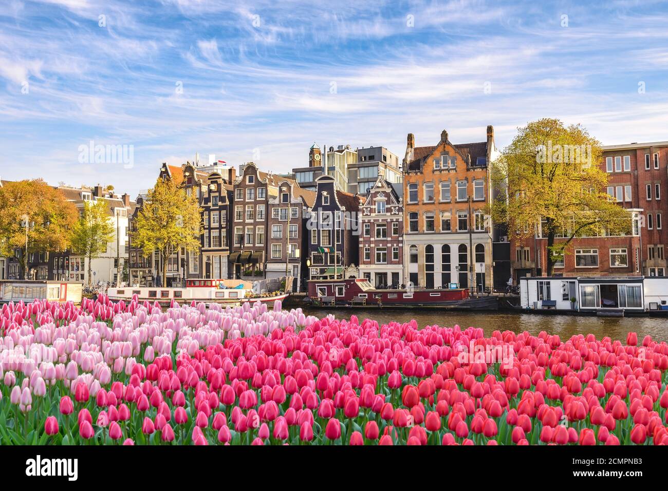 Amsterdam, Niederlande, City Skyline Dutch House im Canal Waterfront mit Frühling Tulpe Blume Stockfoto