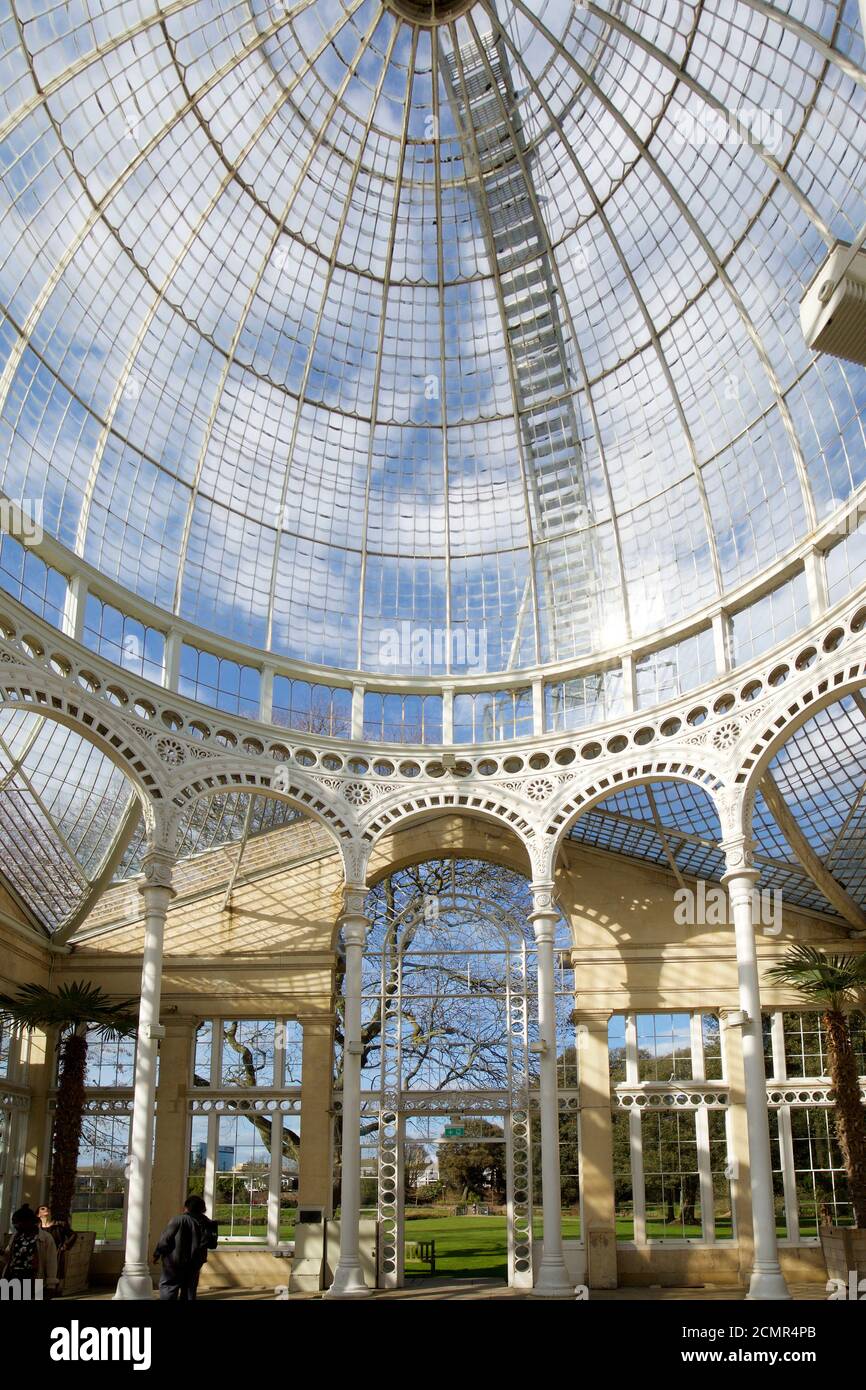 Das Innere des Großen Konservatoriums im Syon Park, das in den 1920er Jahren vom 3. Herzog von Northumberland gepulst wurde. Es ist offen für die Öffentlichkeit in der Summe Stockfoto