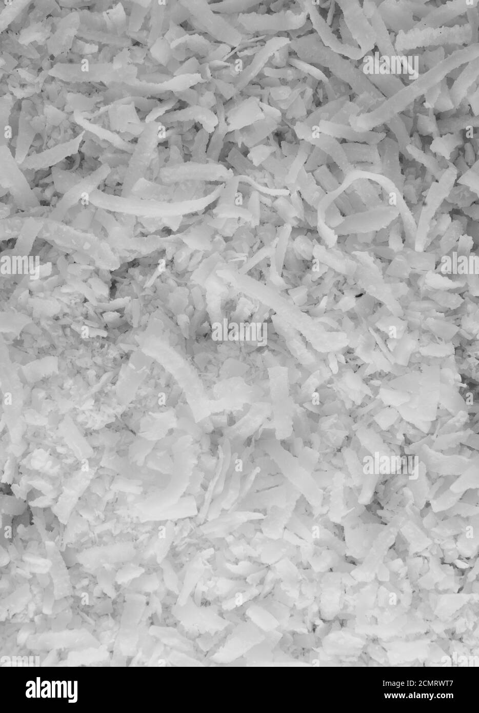 Makro Nahaufnahme Porträt von organischer trockener Kokosnuss, Studio Beleuchtung, selektiver Fokus Stockfoto