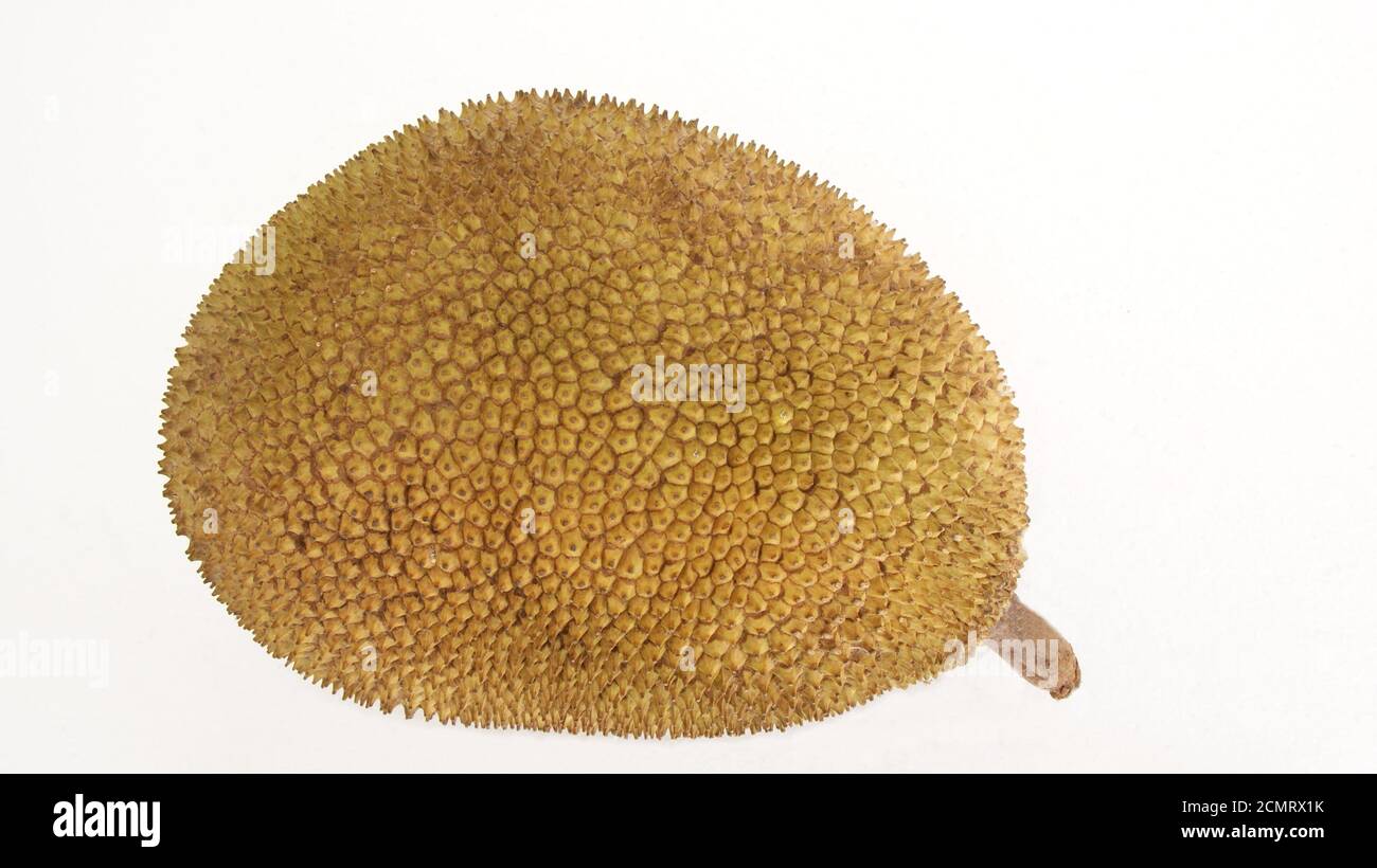 Große gelbe frucht -Fotos und -Bildmaterial in hoher Auflösung – Alamy