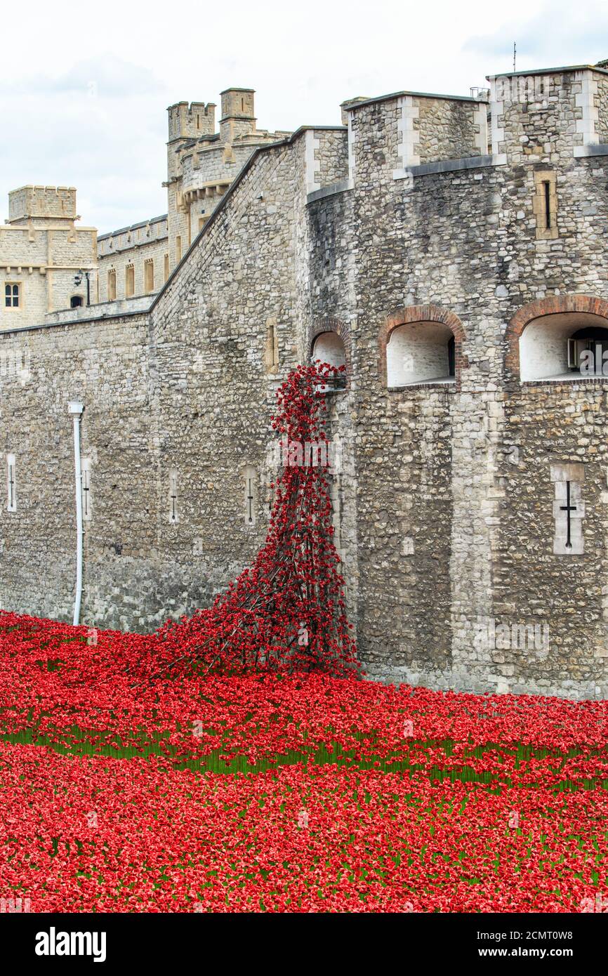 Erster Jahrestag des Ersten Weltkriegs im Tower of London, mit Tausenden von Keramik-Mohnblumen, die jedes im Krieg verlorene Leben darstellen, 2014 Stockfoto