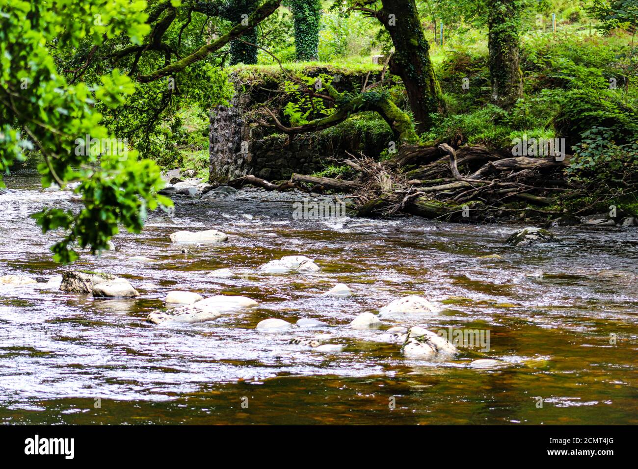 Blick auf den Fluss Stockfoto