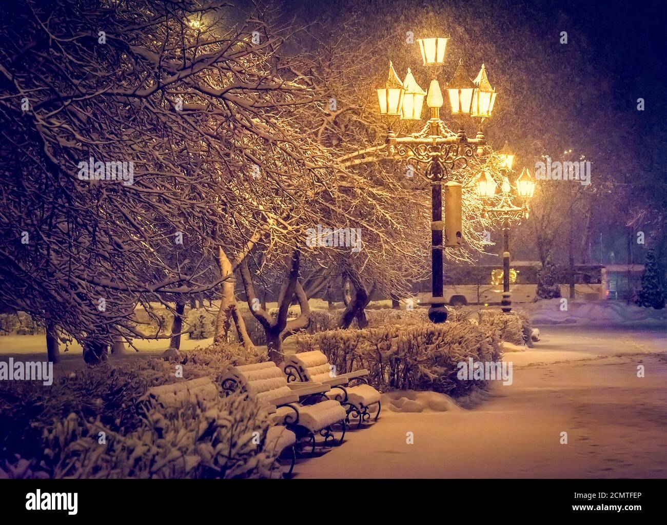 Laternennacht Schneebaum Stockfoto