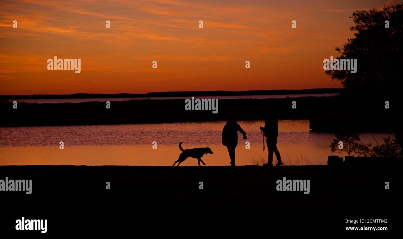 Sonnenuntergang über Assateague Island über Sümpfen, Salzwasserbucht mit Silhouette Paar spielen mit Haustier Hund. Stockfoto