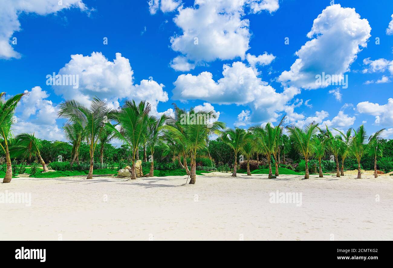 Wunderschöne karibische Landschaft mit Palmen am Strand Stockfoto