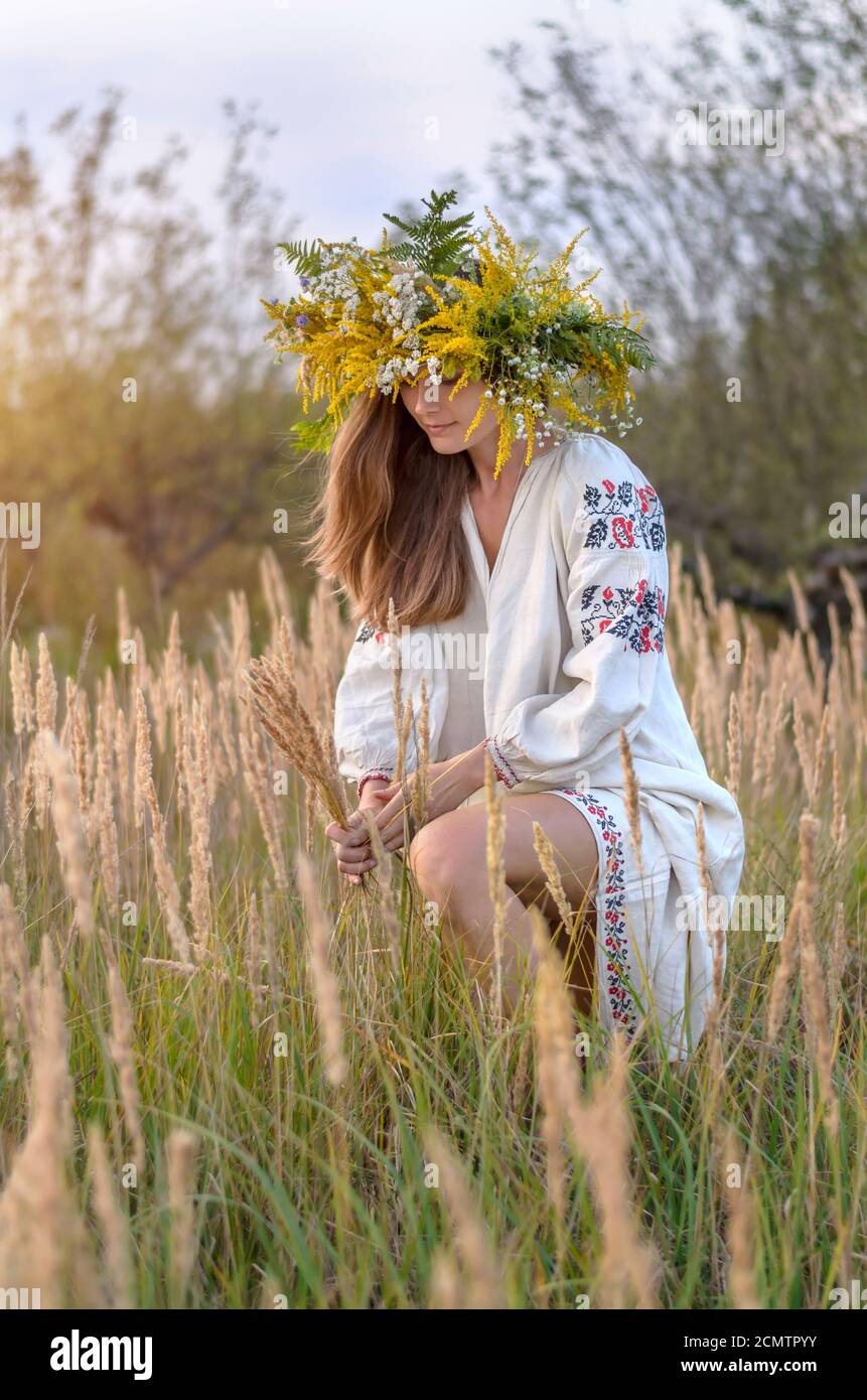 Junge schöne Frau in einem Kranz von Wildblumen und alten nationalen Kleidung sammelt Spitzen in einer Wiese von gelben trockenen Gras. Ethno-Stil Stockfoto