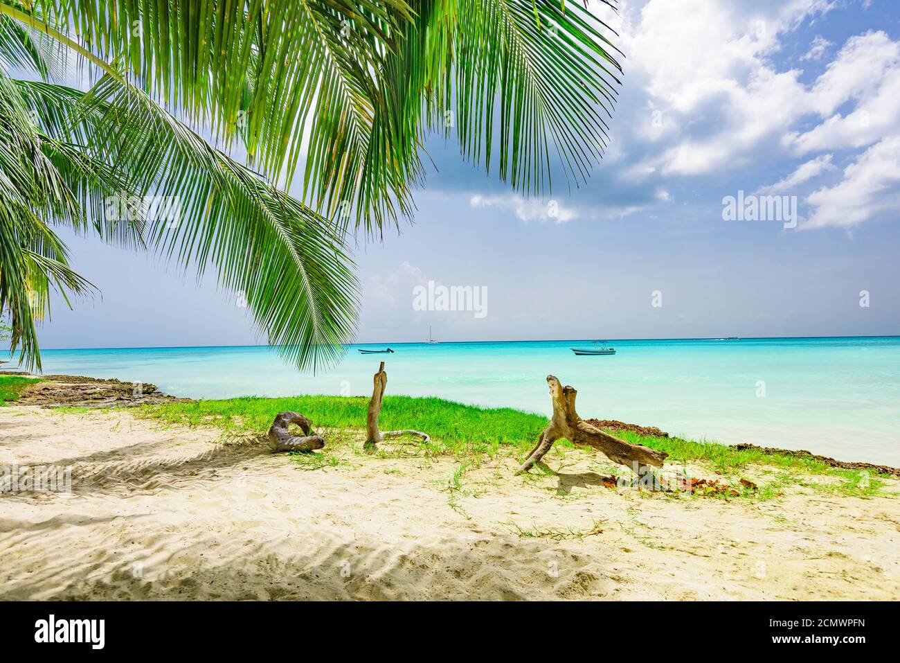 Caribbean Palm Beach Stockfoto