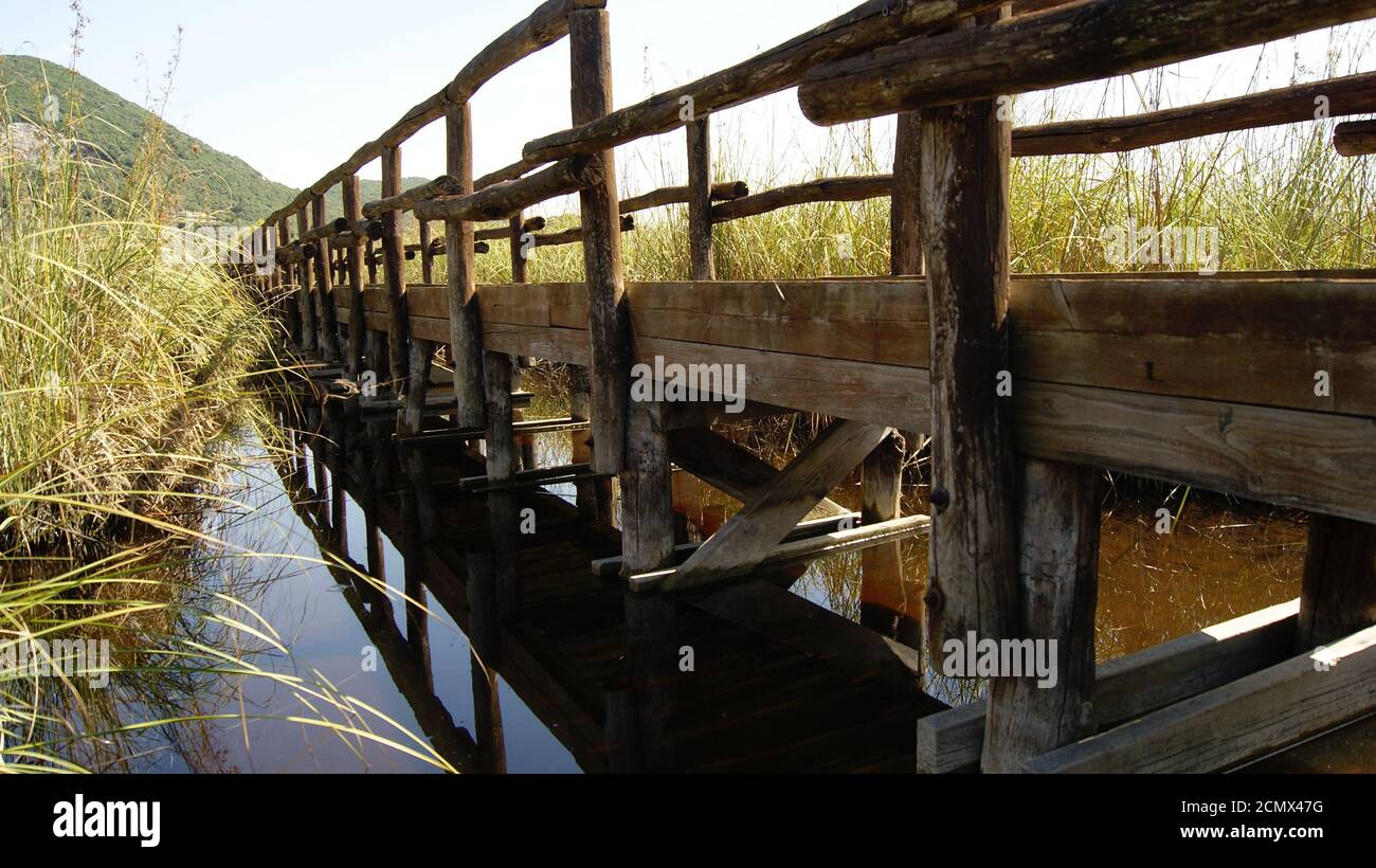 Il ponte sul lago di Massaciuccoli, Provincia di Lucca, un osservatorio naturale. Il ponte di legno tra la palude lacustre. Una strada di legno. Stockfoto