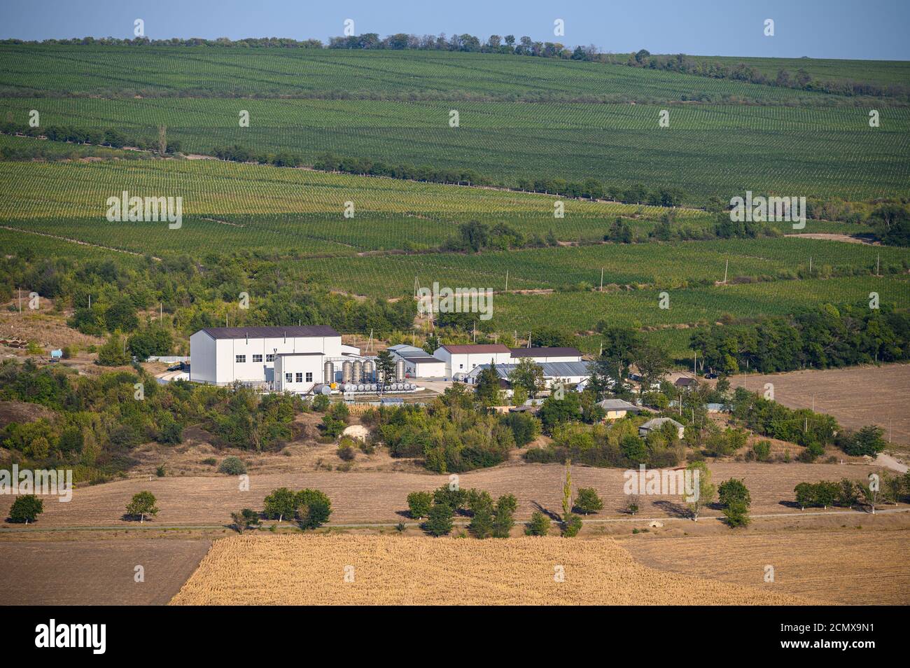 Moderne Weinfabrik in Iantarnoe Dorf in Transnistrien, Moldawien Stockfoto