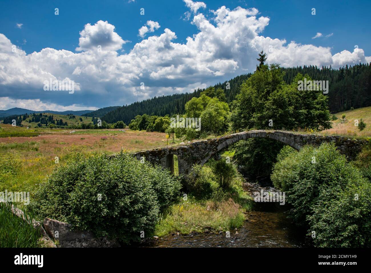 Eine alte Brücke inmitten von Feldern und ein Berg mit Bäumen im Hintergrund. Blauer Himmel mit weißen Wolken. Stockfoto