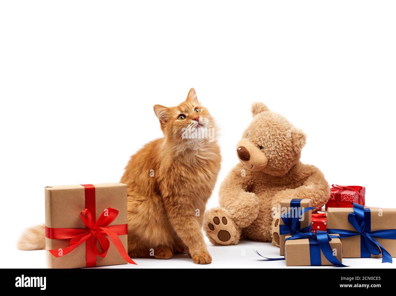 Lustige Erwachsene Ingwer Katze sitzt in der Mitte der Boxen In braunem Papier gewickelt und mit Seidenrippe gebunden Stockfoto