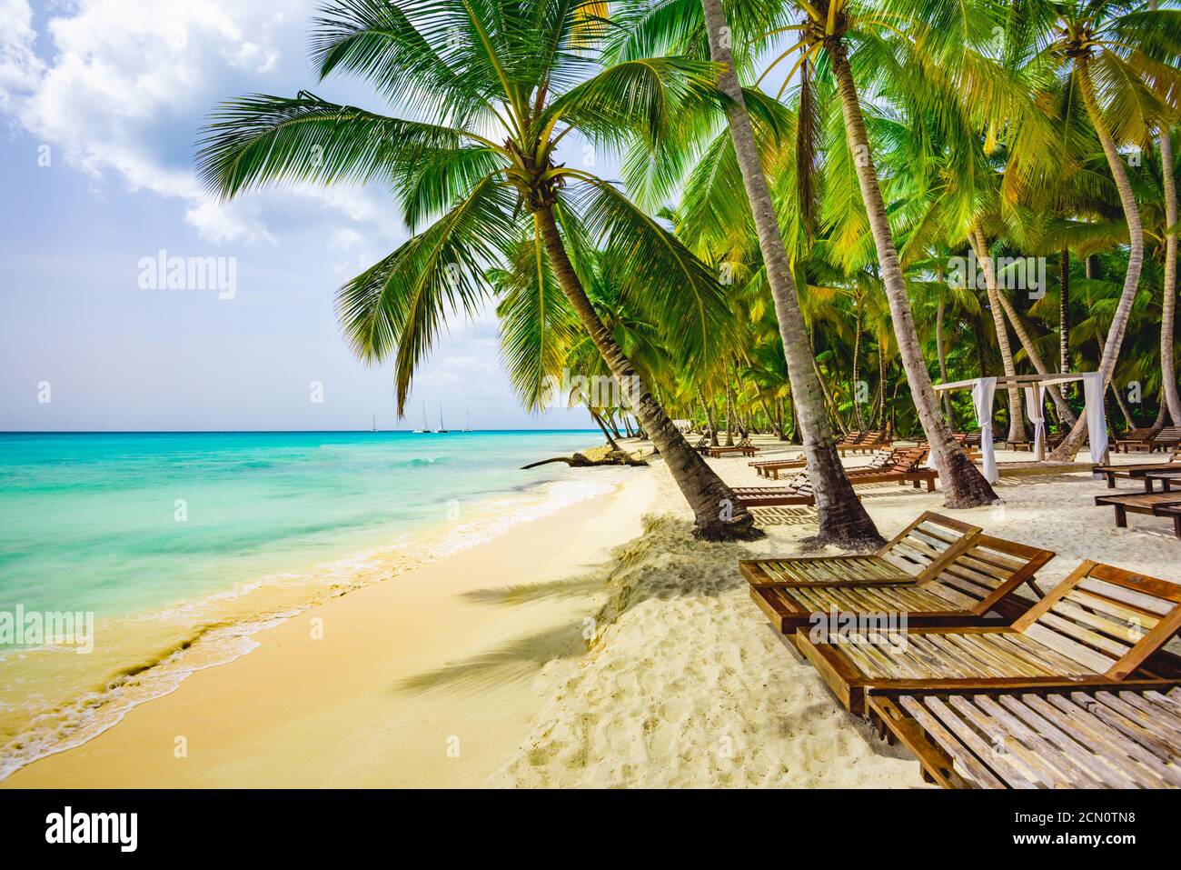 Palm Beach Chaiselongue karibisches Meer Stockfoto