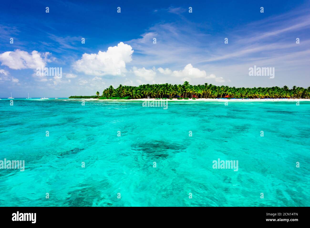 Palm-Ocean Sky Stockfoto