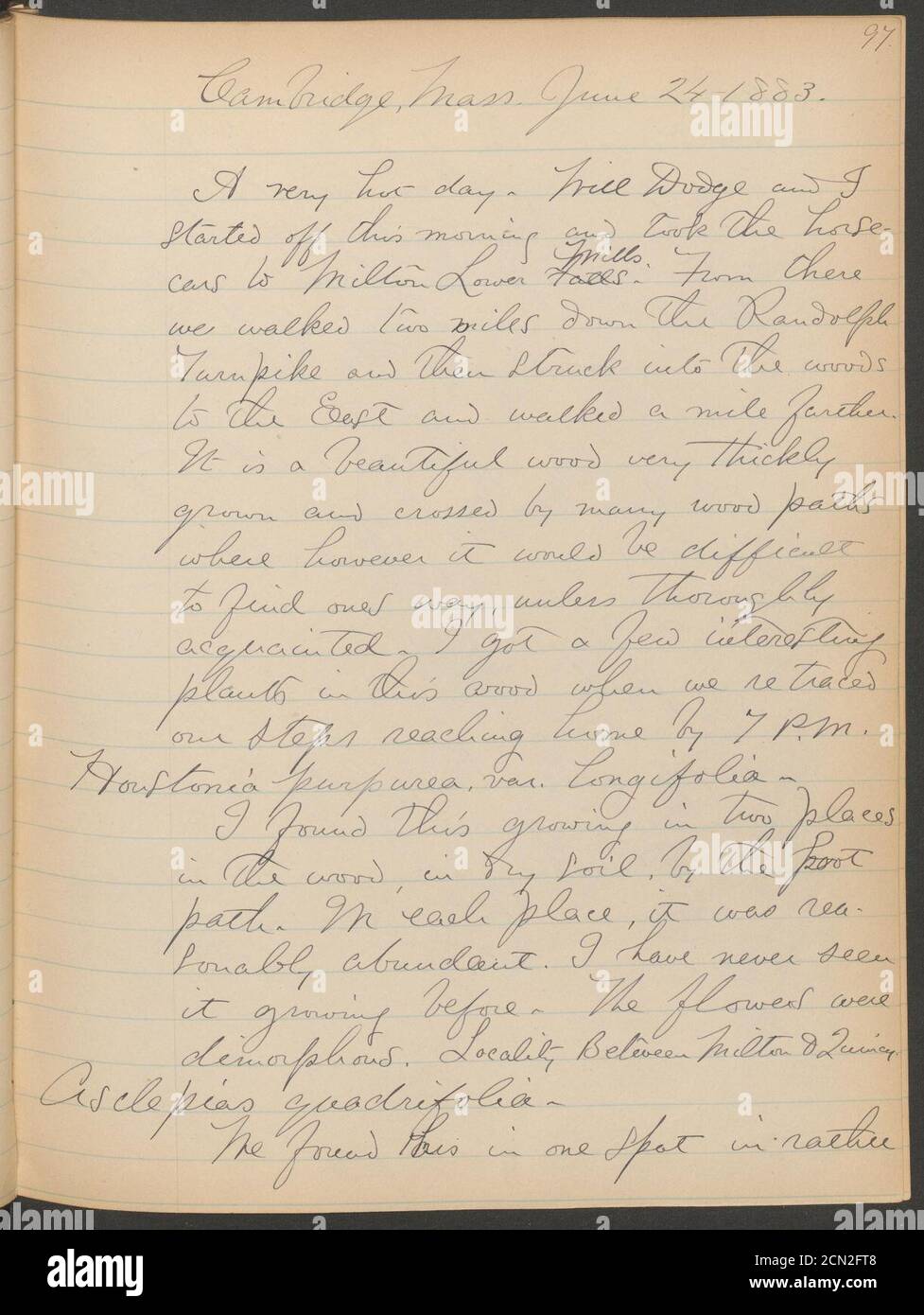 Journal,1882-1885 (Seite 97) Stockfoto