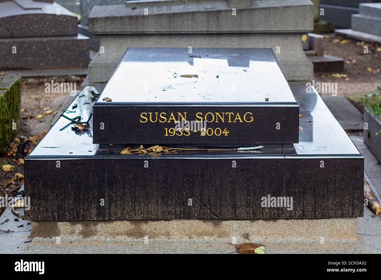 Letzte Ruhestätte der Überreste von Susan Sontag im Montparnasse Friedhof Stockfoto