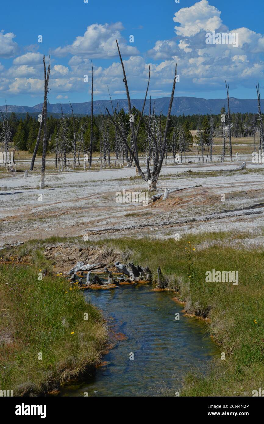 Kochendes Wasser fließt in einer Thermalwüste im Upper Geyser Basin im Yellowstone National Park, Wyoming Stockfoto