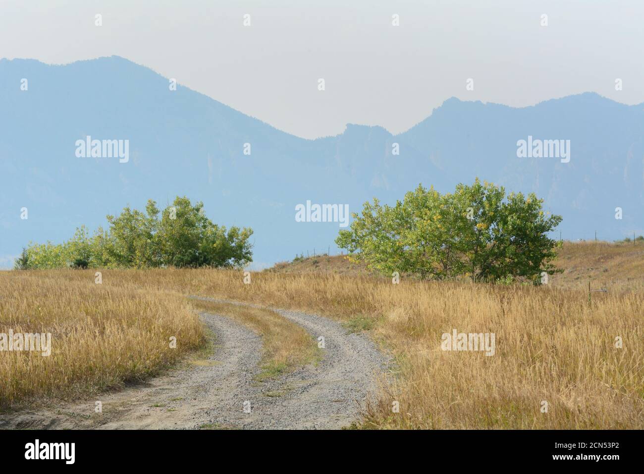Unbefestigte Straße durch trockenes Herbstpräriegras mit Umriss Rocky Mountains im Hintergrund Stockfoto