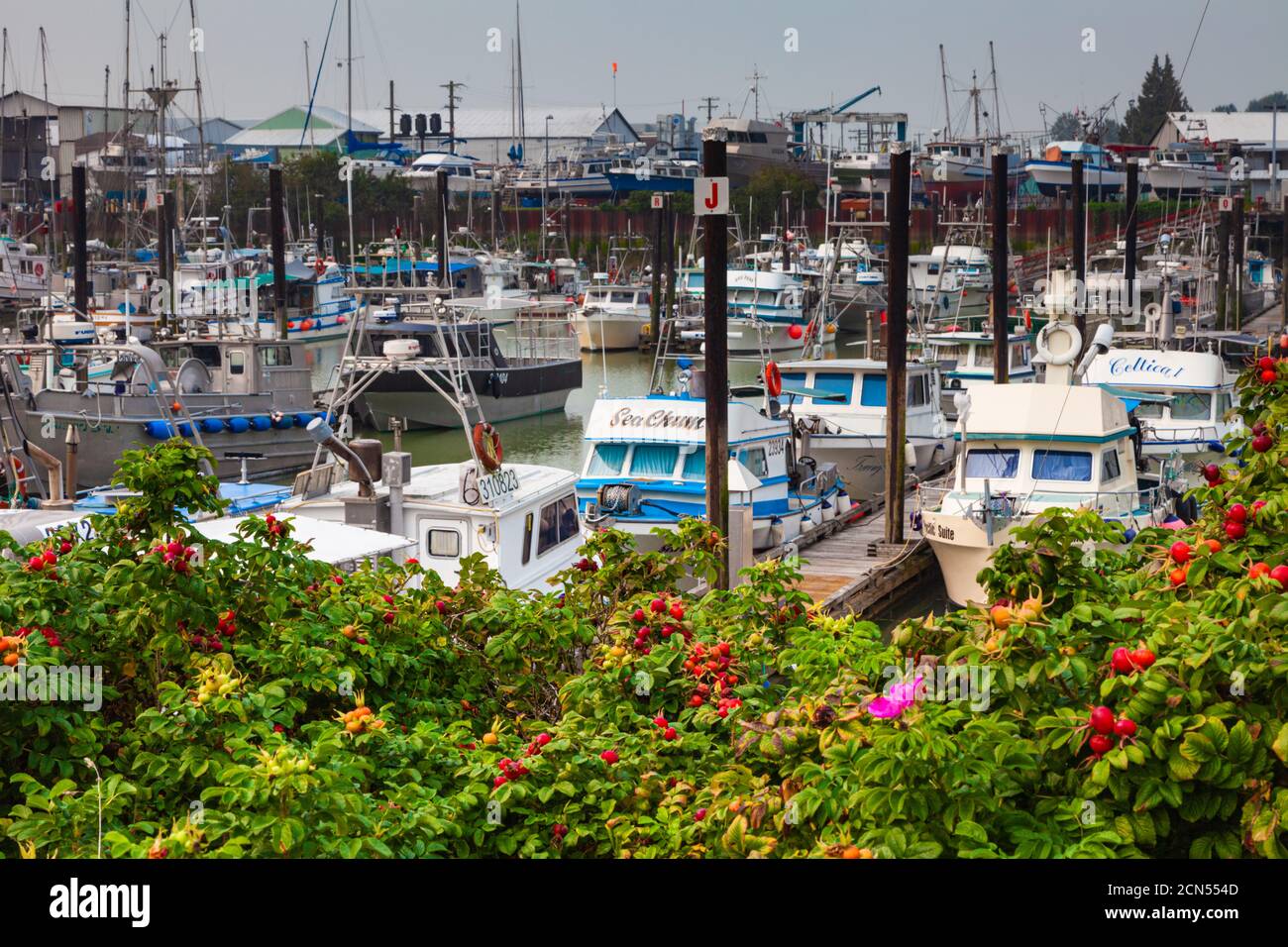 Steveston Paramount Dock und Marina für Vergnügen Handwerk und Angeln Schiffe in British Columbia kanada Stockfoto