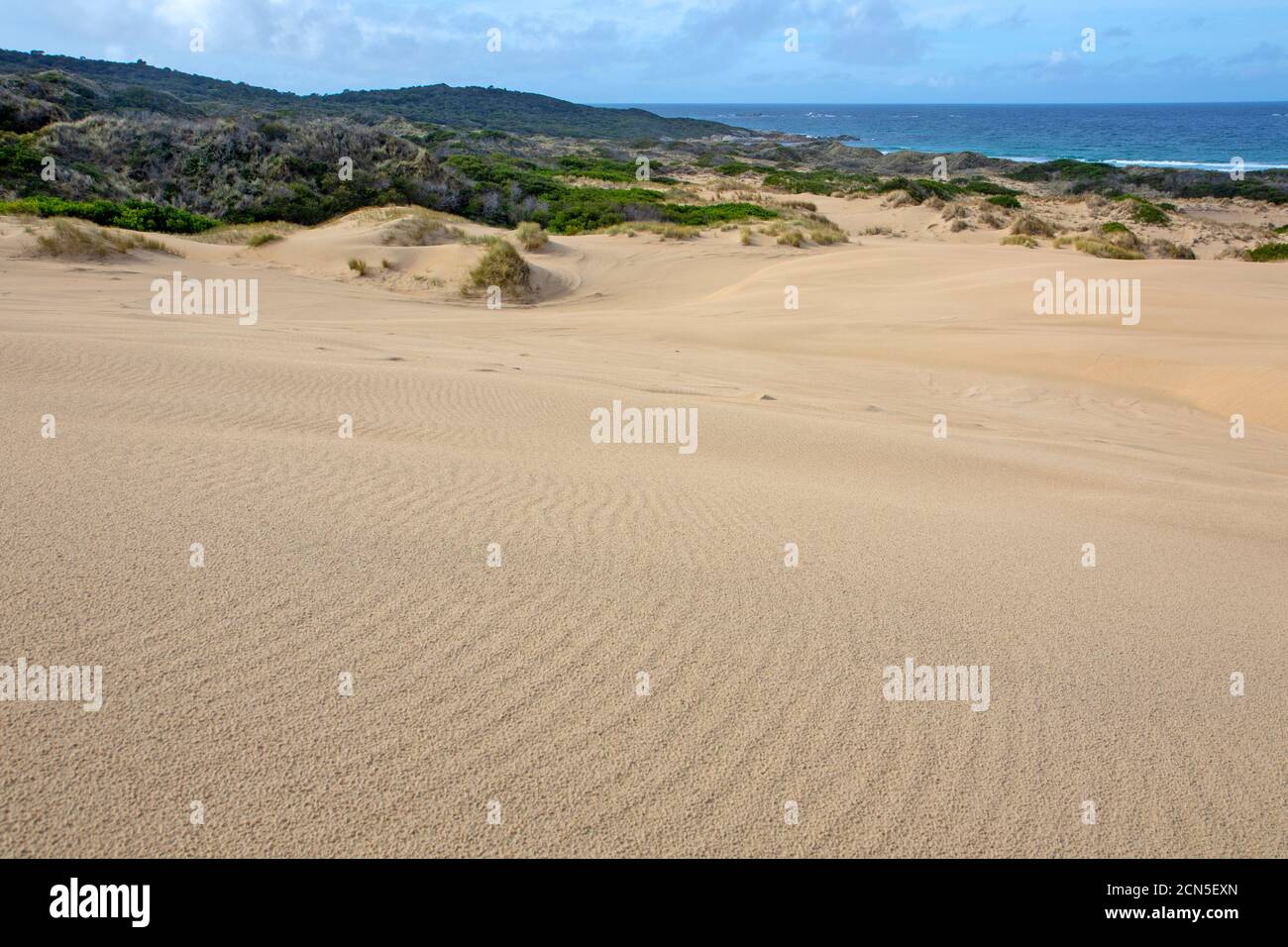 Peron Dunes, St. Helens Point Conservation Area Stockfoto