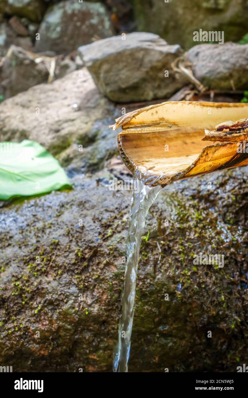 Natürlicher Bambusbrunnen in Santo Antao, Kap Verde Stockfoto