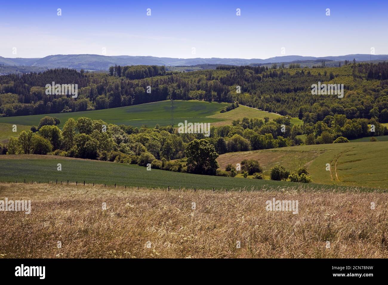 Landschaft, Sundern, Sauerland, Nordrhein-Westfalen, Deutschland, Europa Stockfoto